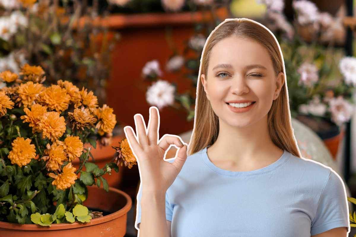 ragazza in primo piano e piante