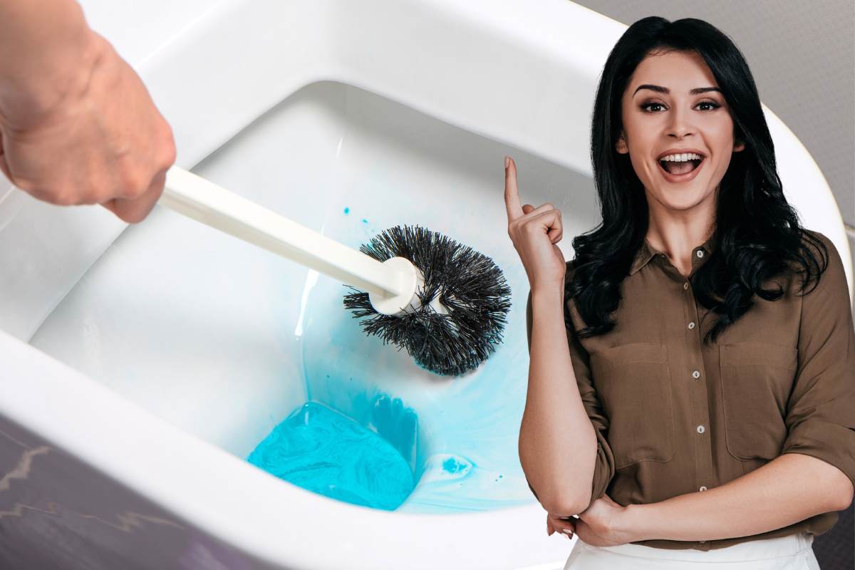 donna indica wc spazzolone